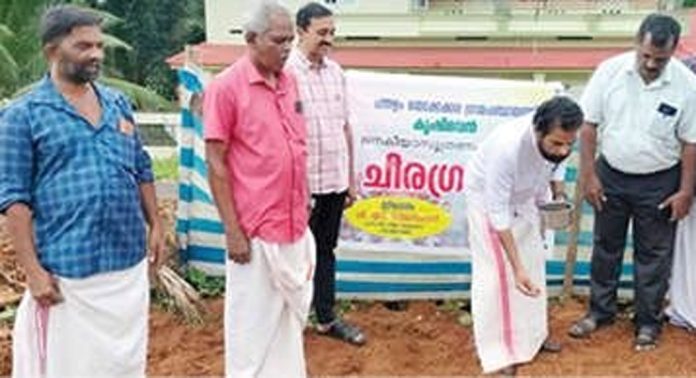 പന്തളം തെക്കേക്കരയിൽ ചീരഗ്രാമം പദ്ധതി തുടങ്ങി പന്തളം തെക്കേക്കരയിൽ ചീരഗ്രാമം പദ്ധതി തുടങ്ങി