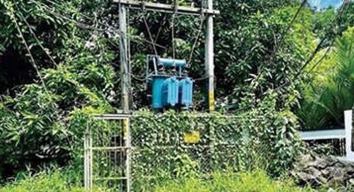 തെങ്ങേലി തോട്ടുങ്കൽപ്പടിയിലെ ട്രാൻസ്ഫോർമറില് വള്ളിച്ചെടികൾ പടർന്ന് കയറി തെങ്ങേലി തോട്ടുങ്കൽപ്പടിയിലെ ട്രാൻസ്ഫോർമറില് വള്ളിച്ചെടികൾ പടർന്ന് കയറി