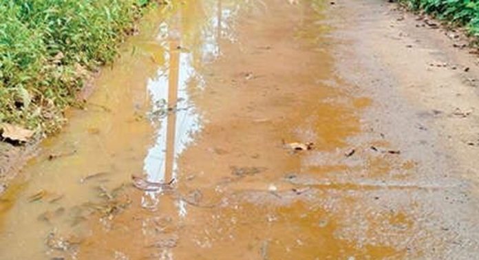 വെള്ളക്കെട്ട് ഒഴിയാതെ ചക്കുതറ-കോക്കാട്ടുകാവ് റോഡ് വെള്ളക്കെട്ട് ഒഴിയാതെ ചക്കുതറ-കോക്കാട്ടുകാവ് റോഡ്
