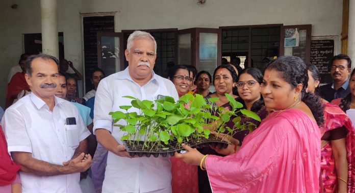 വെച്ചൂച്ചിറ ഗ്രാമ പഞ്ചായത്ത് വാര്ഷിക പദ്ധതിയിൽ ഉൾപ്പെടുത്തി വേനല്ക്കാല പച്ചക്കറി കൃഷി ആരംഭിച്ചു വെച്ചൂച്ചിറ ഗ്രാമ പഞ്ചായത്ത് വാര്ഷിക പദ്ധതിയിൽ ഉൾപ്പെടുത്തി വേനല്ക്കാല പച്ചക്കറി കൃഷി ആരംഭിച്ചു