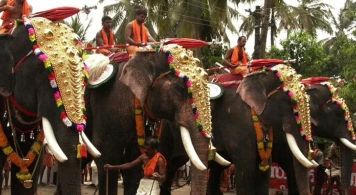 എഴുന്നള്ളിപ്പിന് കര്ശന നിയന്ത്രണങ്ങള് ; അമിക്കസ് ക്യൂറി റിപ്പോര്ട്ട് ഹൈക്കോടതിയില് എഴുന്നള്ളിപ്പിന് കര്ശന നിയന്ത്രണങ്ങള് ; അമിക്കസ് ക്യൂറി റിപ്പോര്ട്ട് ഹൈക്കോടതിയില്