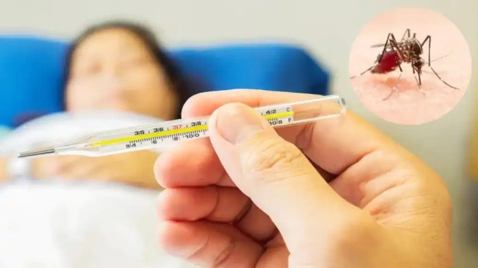 ബംഗ്ലാദേശിൽ പടർന്നുപിടിച്ച് ഡെങ്കിപ്പനി ; മരണം 400കടന്നു ബംഗ്ലാദേശിൽ പടർന്നുപിടിച്ച് ഡെങ്കിപ്പനി ; മരണം 400കടന്നു