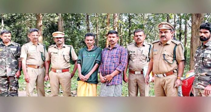 പറമ്പിക്കുളത്തെ ചന്ദനക്കടത്ത് : രണ്ട് പ്രതികൾ കൂടി പിടിയിൽ പറമ്പിക്കുളത്തെ ചന്ദനക്കടത്ത് : രണ്ട് പ്രതികൾ കൂടി പിടിയിൽ