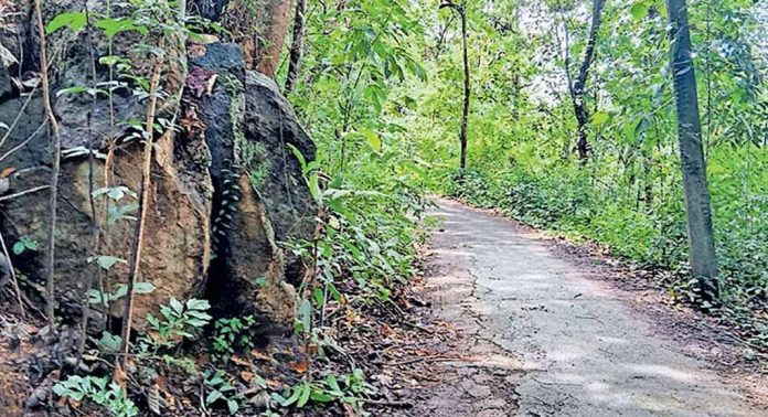 കടലാസ്സില് ഒതുങ്ങി ഐത്തല-ചൊവ്വൂർകടവ്-പരുവേലിൽപടി റോഡ് വികസനം കടലാസ്സില് ഒതുങ്ങി ഐത്തല-ചൊവ്വൂർകടവ്-പരുവേലിൽപടി റോഡ് വികസനം