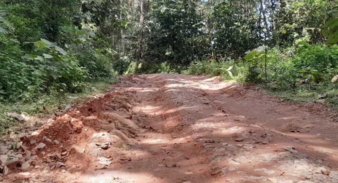 ശബരിമല കാനനപാതകൾ ഈ തവണയും ഇരുട്ടിൽ തപ്പും ശബരിമല കാനനപാതകൾ ഈ തവണയും ഇരുട്ടിൽ തപ്പും