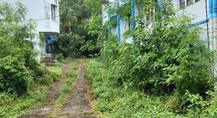 കാട് മൂടി ബിഎസ്എൻഎൽ ഉപഭോക്ത്യസേവന കേന്ദ്രം കാട് മൂടി ബിഎസ്എൻഎൽ ഉപഭോക്ത്യസേവന കേന്ദ്രം