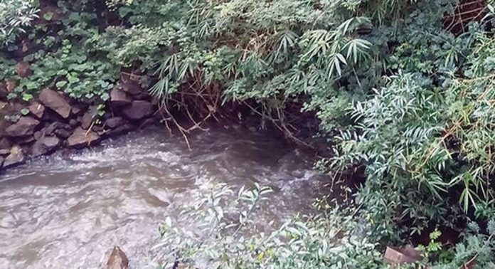 പെരുംപടി തോട് സംരക്ഷണമില്ലാതെ നശിക്കുന്നു പെരുംപടി തോട് സംരക്ഷണമില്ലാതെ നശിക്കുന്നു