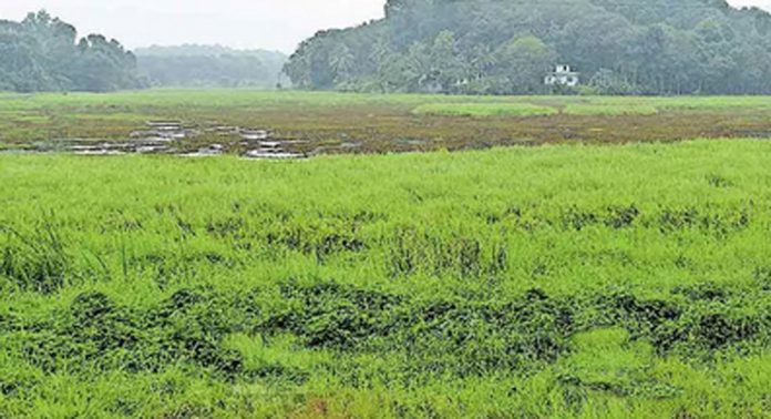 എങ്ങുമെത്താതെ പോളച്ചിറ അക്വാ–അഡ്വഞ്ചർ ടൂറിസം പദ്ധതി എങ്ങുമെത്താതെ പോളച്ചിറ അക്വാ–അഡ്വഞ്ചർ ടൂറിസം പദ്ധതി