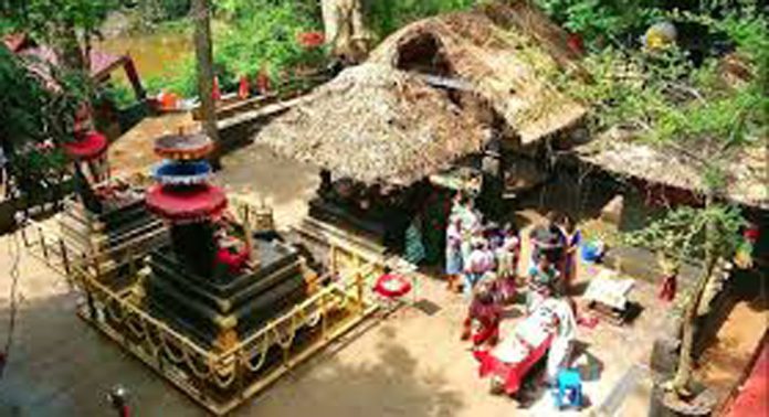 പന്ത്രണ്ട് വിളക്ക് ; ശബരിമലയിലും കോന്നി കല്ലേലി ഊരാളി അപ്പൂപ്പന് കാവിലും വിശേഷാല് പൂജകള് നടന്നു പന്ത്രണ്ട് വിളക്ക് ; ശബരിമലയിലും കോന്നി കല്ലേലി ഊരാളി അപ്പൂപ്പന് കാവിലും വിശേഷാല് പൂജകള് നടന്നു