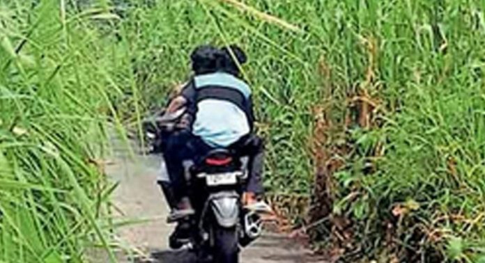കാട് കയറി കുഴിക്കാല പൂന്നമൂട്- ഇലന്തൂർ റോഡ് കാട് കയറി കുഴിക്കാല പൂന്നമൂട്- ഇലന്തൂർ റോഡ്