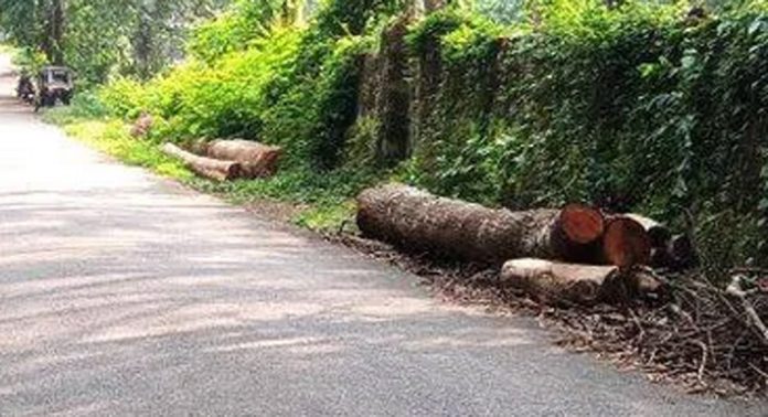 പടുതോട് – എഴുമറ്റൂർ ബാസ്റ്റോ റോഡിൽ പടുതോട് അമ്പലത്തിന് മുൻഭാഗത്തായി പാതയിൽ തള്ളിയിട്ടിരിക്കുന്ന മരത്തടികൾ ബുദ്ധിമുട്ടാകുന്നതായി പരാതി പടുതോട് – എഴുമറ്റൂർ ബാസ്റ്റോ റോഡിൽ പടുതോട് അമ്പലത്തിന് മുൻഭാഗത്തായി പാതയിൽ തള്ളിയിട്ടിരിക്കുന്ന മരത്തടികൾ ബുദ്ധിമുട്ടാകുന്നതായി പരാതി