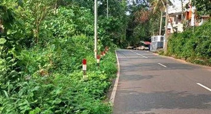 പരിയാരം – മല്ലപ്പള്ളി പഞ്ചായത്ത് പടി റോഡിൽ സൂചന ബോർഡുകളും പാതയോരവും കാടുകയറി ; ഭീതിയില് യാത്രക്കാര് പരിയാരം – മല്ലപ്പള്ളി പഞ്ചായത്ത് പടി റോഡിൽ സൂചന ബോർഡുകളും പാതയോരവും കാടുകയറി ; ഭീതിയില് യാത്രക്കാര്