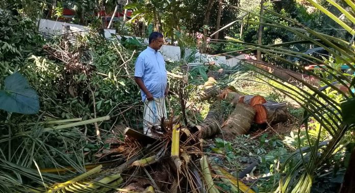 കാട്ടുപന്നി ശല്യത്തിന് പിന്നാലെ കുരങ്ങുശല്യവും ; കാര്ഷികവിളകള് വെട്ടി നശിപ്പിച്ച് കര്ഷകന് കാട്ടുപന്നി ശല്യത്തിന് പിന്നാലെ കുരങ്ങുശല്യവും ; കാര്ഷികവിളകള് വെട്ടി നശിപ്പിച്ച് കര്ഷകന്