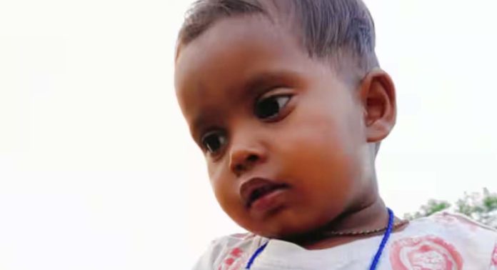 ഓട്ടോറിക്ഷ മറിഞ്ഞുണ്ടായ അപകടത്തില് ബാലികക്ക് ദാരുണാന്ത്യം ഓട്ടോറിക്ഷ മറിഞ്ഞുണ്ടായ അപകടത്തില് ബാലികക്ക് ദാരുണാന്ത്യം
