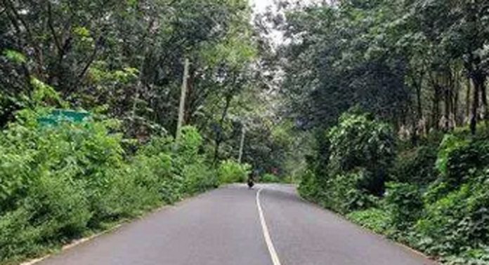 ഇരുവശങ്ങളും കാടുമൂടി ശബരിമല പാത ; വെട്ടിത്തെളിക്കണമെന്ന ആവശ്യം ശക്തം ഇരുവശങ്ങളും കാടുമൂടി ശബരിമല പാത ; വെട്ടിത്തെളിക്കണമെന്ന ആവശ്യം ശക്തം