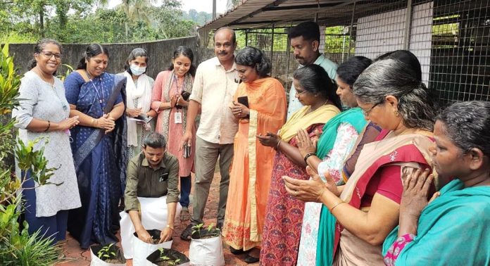 തോട്ടപ്പുഴശ്ശേരി പഞ്ചായത്തില് പച്ചക്കറിമുറ്റം ഉദ്ഘാടനം ചെയ്തു തോട്ടപ്പുഴശ്ശേരി പഞ്ചായത്തില് പച്ചക്കറിമുറ്റം ഉദ്ഘാടനം ചെയ്തു