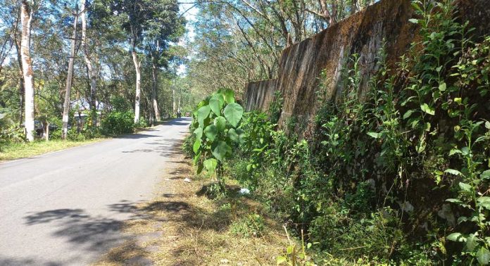 പഴവങ്ങാടി ഗ്രാമ പഞ്ചായത്ത് കുടുംബശ്രീ സിഡിഎസ് മാലിന്യ മുക്ത നവകേരളം 2.0 ഭാഗമായി ഹരിത അയൽക്കൂട്ട പ്രഖ്യാപനം നടത്തി പഴവങ്ങാടി ഗ്രാമ പഞ്ചായത്ത് കുടുംബശ്രീ സിഡിഎസ് മാലിന്യ മുക്ത നവകേരളം 2.0 ഭാഗമായി ഹരിത അയൽക്കൂട്ട പ്രഖ്യാപനം നടത്തി