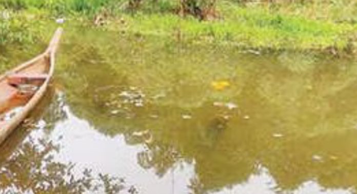 എക്കലടിഞ്ഞ് കദളിമംഗലത്താറിലെ നീർച്ചാല് എക്കലടിഞ്ഞ് കദളിമംഗലത്താറിലെ നീർച്ചാല്