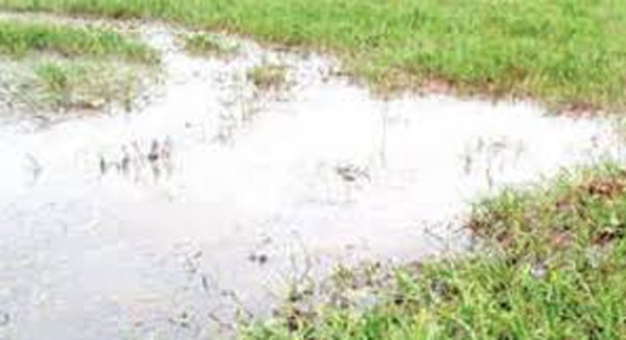 ശക്തമായ മഴയും വെള്ളക്കെട്ടും ; കരിങ്ങാലി പാടത്തെ കര്ഷകര് പ്രതിസന്ധിയില് ശക്തമായ മഴയും വെള്ളക്കെട്ടും ; കരിങ്ങാലി പാടത്തെ കര്ഷകര് പ്രതിസന്ധിയില്