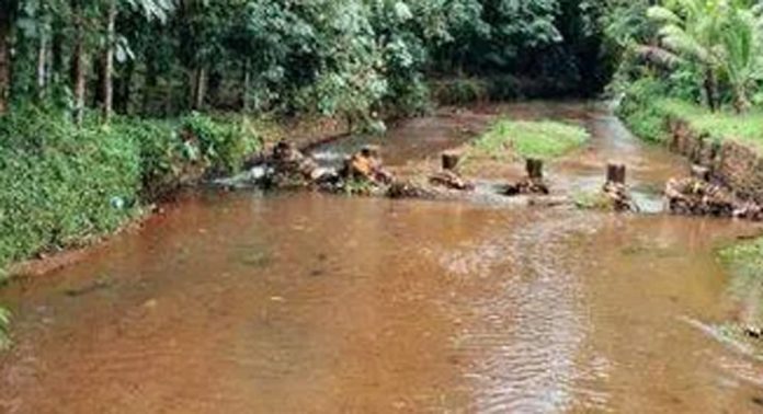 അത്യാൽ വലിയ തോട്ടിലെ ജലനിരപ്പ് ഉയരുന്നു ; കര്ഷകര് ആശങ്കയില് അത്യാൽ വലിയ തോട്ടിലെ ജലനിരപ്പ് ഉയരുന്നു ; കര്ഷകര് ആശങ്കയില്