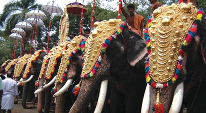 മതത്തിന്റെ പേരിൽ എന്തും ചെയ്യാമെന്ന് കരുതരുത് ; ആന എഴുന്നള്ളിപ്പ് ; രൂക്ഷ വിമർശനവുമായി ഹൈക്കോടതി മതത്തിന്റെ പേരിൽ എന്തും ചെയ്യാമെന്ന് കരുതരുത് ; ആന എഴുന്നള്ളിപ്പ് ; രൂക്ഷ വിമർശനവുമായി ഹൈക്കോടതി