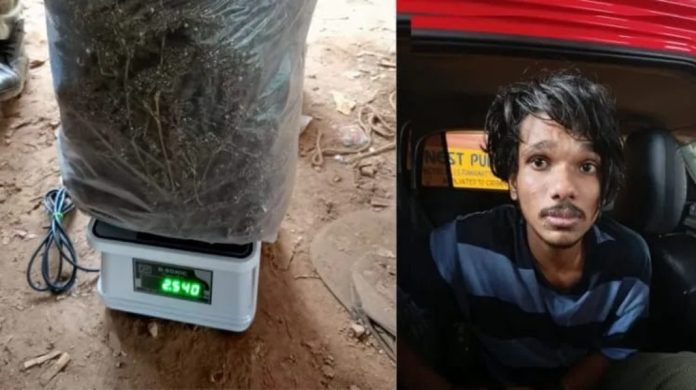 രണ്ടര കിലോ കഞ്ചാവുമായി മലപ്പുറം സ്വദേശി കോഴിക്കോട് പിടിയിൽ രണ്ടര കിലോ കഞ്ചാവുമായി മലപ്പുറം സ്വദേശി കോഴിക്കോട് പിടിയിൽ