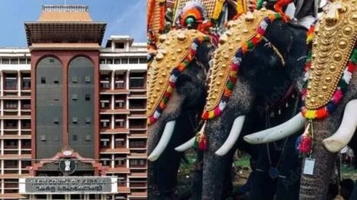 തൃപ്പുണിത്തുറ ക്ഷേത്രത്തിലെ ആന എഴുന്നെളളിപ്പ് ; മാർഗനിർദ്ദേശങ്ങൾ പാലിച്ചില്ലെന്ന് ഹൈക്കോടതി തൃപ്പുണിത്തുറ ക്ഷേത്രത്തിലെ ആന എഴുന്നെളളിപ്പ് ; മാർഗനിർദ്ദേശങ്ങൾ പാലിച്ചില്ലെന്ന് ഹൈക്കോടതി