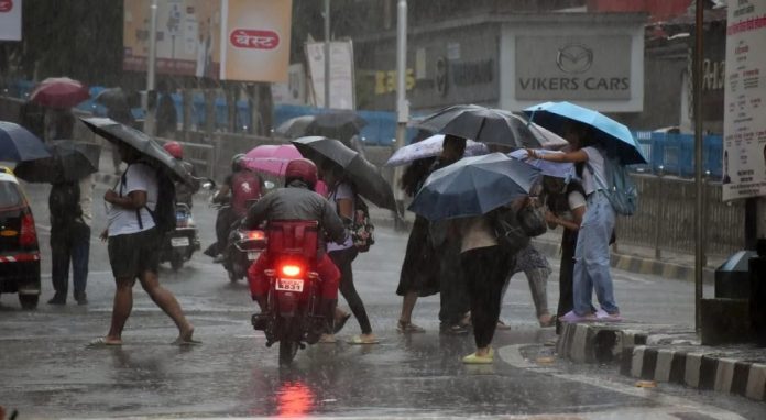 തമിഴ്നാട്ടിൽ മഴ ശക്തമായി തുടരുന്നു ; മൂന്ന് ജില്ലകളിൽ ഓറഞ്ച് അലർട്ട് തമിഴ്നാട്ടിൽ മഴ ശക്തമായി തുടരുന്നു ; മൂന്ന് ജില്ലകളിൽ ഓറഞ്ച് അലർട്ട്