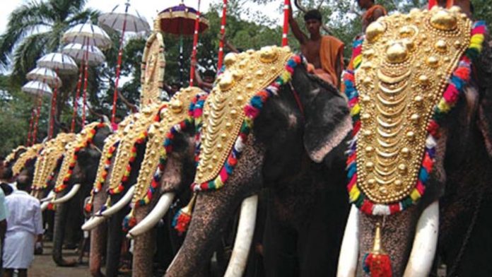ആന എഴുന്നള്ളിപ്പ് : ഹൈക്കോടതി ഉത്തരവിന് സുപ്രീം കോടതി സ്റ്റേ ആന എഴുന്നള്ളിപ്പ് : ഹൈക്കോടതി ഉത്തരവിന് സുപ്രീം കോടതി സ്റ്റേ