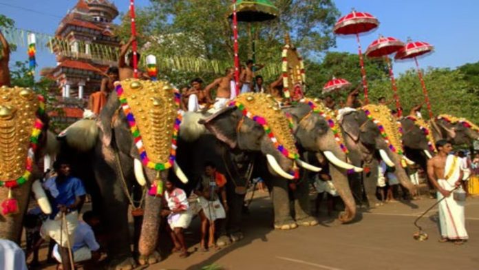 ആന എഴുന്നള്ളിപ്പിൽ സുപ്രീംകോടതി വിധിയെ സ്വാഗതം ചെയ്ത് തിരുവമ്പാടി ദേവസ്വം ആന എഴുന്നള്ളിപ്പിൽ സുപ്രീംകോടതി വിധിയെ സ്വാഗതം ചെയ്ത് തിരുവമ്പാടി ദേവസ്വം