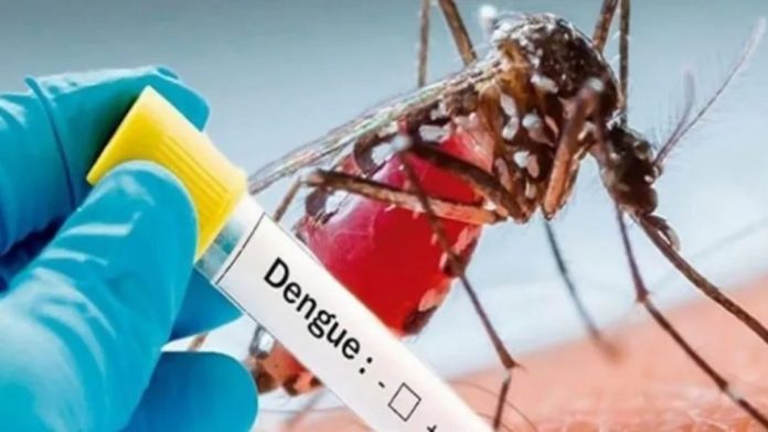 ഡെങ്കിപ്പനി : പ്രതിരോധ പ്രവര്ത്തനം ഊര്ജിതമാക്കി ഡെങ്കിപ്പനി : പ്രതിരോധ പ്രവര്ത്തനം ഊര്ജിതമാക്കി