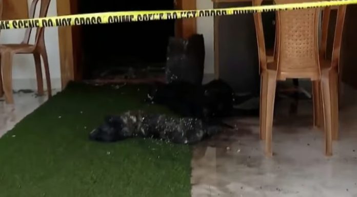 പയ്യാമ്പലത്ത് റിസോര്ട്ടിന് തീയിട്ട ശേഷം ജീവനക്കാരന് ആത്മഹത്യ ചെയ്തു പയ്യാമ്പലത്ത് റിസോര്ട്ടിന് തീയിട്ട ശേഷം ജീവനക്കാരന് ആത്മഹത്യ ചെയ്തു
