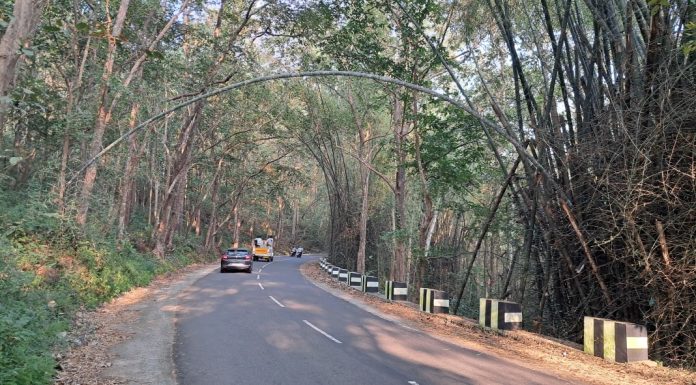 ചെത്തോങ്കര – അത്തിക്കയം റോഡിൽ മുളംചില്ലകള് വീണ്ടും യാത്രക്കാർക്ക് ഭീഷണിയാവുന്നു ചെത്തോങ്കര – അത്തിക്കയം റോഡിൽ മുളംചില്ലകള് വീണ്ടും യാത്രക്കാർക്ക് ഭീഷണിയാവുന്നു