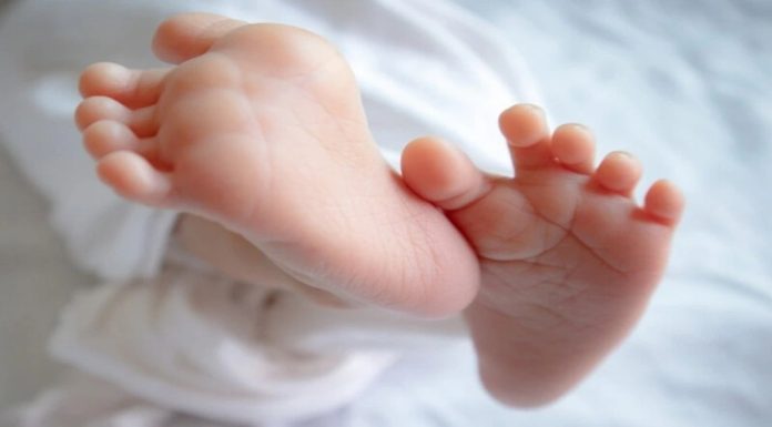 അമ്മത്തൊട്ടിലിലെ കുഞ്ഞിന് പേരിട്ടു ‘സ്നിഗ്ധ’ അമ്മത്തൊട്ടിലിലെ കുഞ്ഞിന് പേരിട്ടു ‘സ്നിഗ്ധ’
