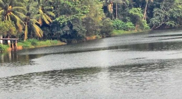 പത്തനംതിട്ട ജില്ലയിലെ അച്ചൻകോവിൽ നദിയുടെ കരയിലുള്ളവർക്ക് ജാഗ്രതാ നിർദേശം പത്തനംതിട്ട ജില്ലയിലെ അച്ചൻകോവിൽ നദിയുടെ കരയിലുള്ളവർക്ക് ജാഗ്രതാ നിർദേശം