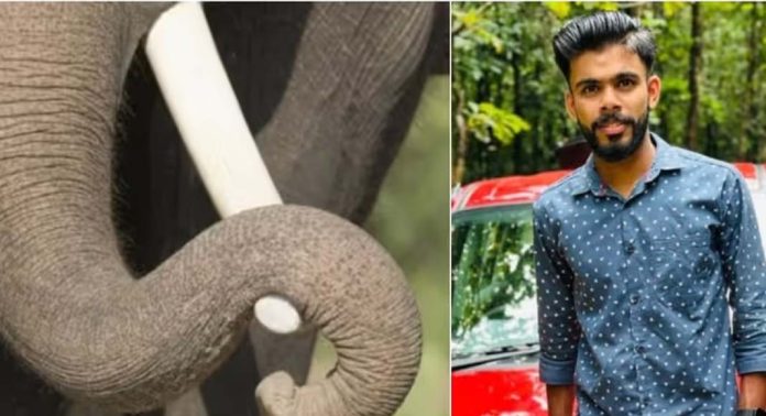 കാട്ടാന ആക്രമണത്തിൽ മരിച്ച അമർ ഇലാഹിയുടെ കബറടക്കം ഇന്ന് കാട്ടാന ആക്രമണത്തിൽ മരിച്ച അമർ ഇലാഹിയുടെ കബറടക്കം ഇന്ന്