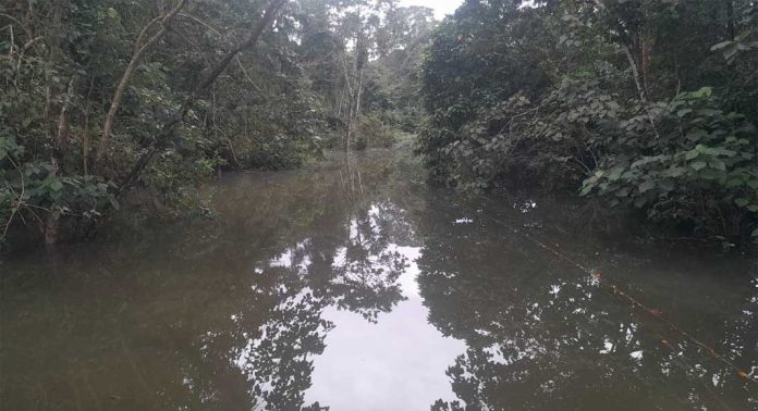 മൂന്ന് ദിവസമായി തുടരുന്ന കനത്ത മഴയെ തുടർന്ന് അച്ചൻകോവിൽ, ആവണിപ്പാറ മേഖലകൾ ഒറ്റപെട്ടു മൂന്ന് ദിവസമായി തുടരുന്ന കനത്ത മഴയെ തുടർന്ന് അച്ചൻകോവിൽ, ആവണിപ്പാറ മേഖലകൾ ഒറ്റപെട്ടു