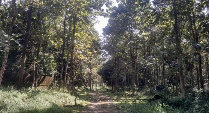 സംസ്ഥാനത്തെ ആദ്യത്തെ റിസർവ് വനമായ കോന്നി റിസർവ് വനത്തിന് 136 വയസ് സംസ്ഥാനത്തെ ആദ്യത്തെ റിസർവ് വനമായ കോന്നി റിസർവ് വനത്തിന് 136 വയസ്