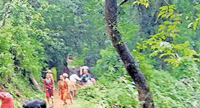മണക്കയം പാലം മുതൽ ബിമ്മരം തോട് പടി വരെ ബിമ്മരം നഗർ നിവാസികളുടെ നേതൃത്വത്തിൽ വൃത്തിയാക്കി മണക്കയം പാലം മുതൽ ബിമ്മരം തോട് പടി വരെ ബിമ്മരം നഗർ നിവാസികളുടെ നേതൃത്വത്തിൽ വൃത്തിയാക്കി