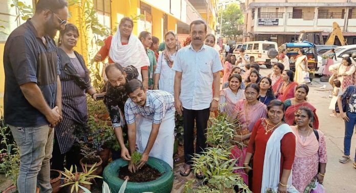 ഫേസ്ബുക്ക് കൂട്ടായ്മയുടെ ചെടികൾ നഗരസഭയുടെ ജൈവവളം ; മിനിസിവിൽ സ്റ്റേഷനിൽ പൂന്തോട്ടമൊരുങ്ങി ഫേസ്ബുക്ക് കൂട്ടായ്മയുടെ ചെടികൾ നഗരസഭയുടെ ജൈവവളം ; മിനിസിവിൽ സ്റ്റേഷനിൽ പൂന്തോട്ടമൊരുങ്ങി