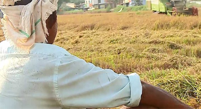 വിത്തുകൾ ശക്തമായ മഴയിൽ നശിച്ചു ; കർഷകർക്ക് അടിയന്തിര നഷ്ടപരിഹാരം നൽകണമെന്ന് കേരള കർഷക സംഘം മുടിയൂർക്കോണം മേഖല കമ്മിറ്റി വിത്തുകൾ ശക്തമായ മഴയിൽ നശിച്ചു ; കർഷകർക്ക് അടിയന്തിര നഷ്ടപരിഹാരം നൽകണമെന്ന് കേരള കർഷക സംഘം മുടിയൂർക്കോണം മേഖല കമ്മിറ്റി