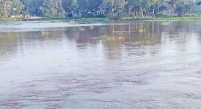 വെള്ളത്തിലായ വിത്തുകൾക്കു പകരം പുതിയ നെൽവിത്തുകൾ ലഭിക്കാൻ കാലതാമസം നേരിടും ; ആശങ്കയില് കര്ഷകര് വെള്ളത്തിലായ വിത്തുകൾക്കു പകരം പുതിയ നെൽവിത്തുകൾ ലഭിക്കാൻ കാലതാമസം നേരിടും ; ആശങ്കയില് കര്ഷകര്