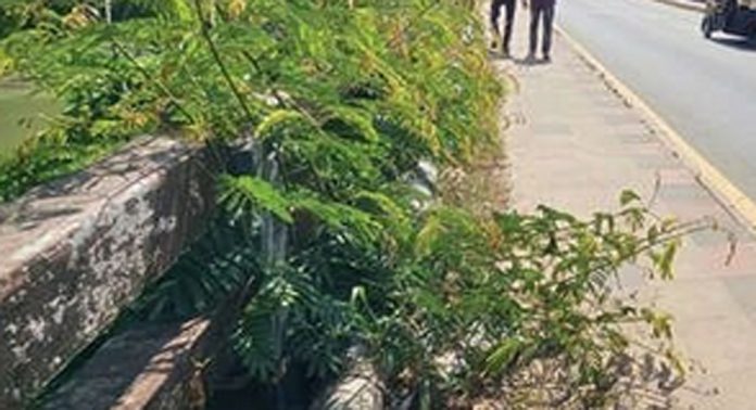 സുരക്ഷാസംവിധാനങ്ങളില്ല ; ഏനാത്ത് പാലം യാത്ര അപകട ഭീതി സൃഷ്ടിക്കുന്നു സുരക്ഷാസംവിധാനങ്ങളില്ല ; ഏനാത്ത് പാലം യാത്ര അപകട ഭീതി സൃഷ്ടിക്കുന്നു