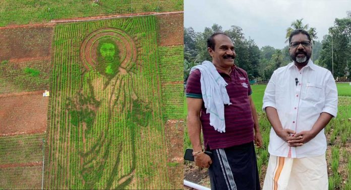 യേശുദേവന്റെ ചിത്രം വരച്ചൊരു നാടൻ കരനെൽകൃഷി യേശുദേവന്റെ ചിത്രം വരച്ചൊരു നാടൻ കരനെൽകൃഷി