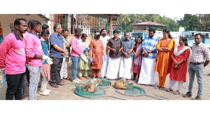 ചെങ്ങന്നൂര് നഗരസഭ തെരുവ് നായ്ക്കള്ക്ക് പേവിഷബാധയ്ക്കെതിരെയുള്ള കുത്തിവെയ്പ്പ് ആരംഭിച്ചു ചെങ്ങന്നൂര് നഗരസഭ തെരുവ് നായ്ക്കള്ക്ക് പേവിഷബാധയ്ക്കെതിരെയുള്ള കുത്തിവെയ്പ്പ് ആരംഭിച്ചു