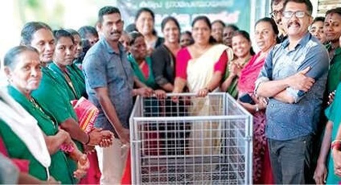 കടപ്ര ഗ്രാമപ്പഞ്ചായത്ത് ഹരിതകർമസേന പ്രവർത്തകർക്ക് വാർഷിക പദ്ധതിയിൽ ഉൾപ്പെടുത്തി ട്രോളി വിതരണം ചെയ്തു കടപ്ര ഗ്രാമപ്പഞ്ചായത്ത് ഹരിതകർമസേന പ്രവർത്തകർക്ക് വാർഷിക പദ്ധതിയിൽ ഉൾപ്പെടുത്തി ട്രോളി വിതരണം ചെയ്തു