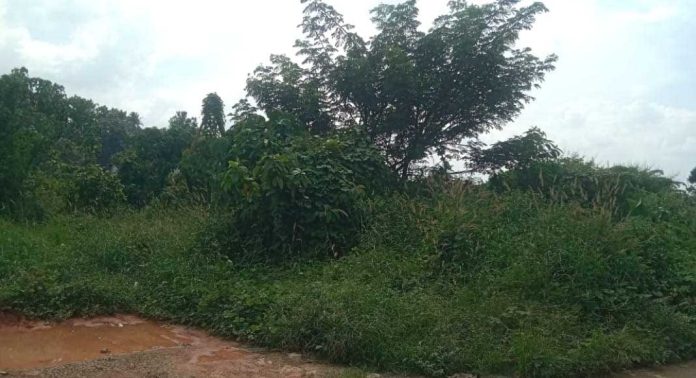 റാന്നി കെഎസ്ആർടിസി ബസ് സ്റ്റേഷൻ നിര്മ്മിക്കാനായി ഏറ്റെടുത്ത സ്ഥലത്തിൻ്റെ ബാധ്യതയായ 9.50 കോടി രൂപ സർക്കാർ ഏറ്റെടുക്കും റാന്നി കെഎസ്ആർടിസി ബസ് സ്റ്റേഷൻ നിര്മ്മിക്കാനായി ഏറ്റെടുത്ത സ്ഥലത്തിൻ്റെ ബാധ്യതയായ 9.50 കോടി രൂപ സർക്കാർ ഏറ്റെടുക്കും