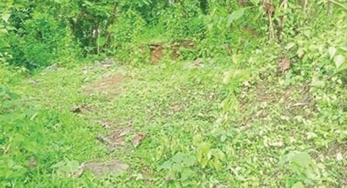 മത്തിമല കുടിവെള്ള പദ്ധതിയുടെ സ്ഥലം കാടുപിടിച്ചു മത്തിമല കുടിവെള്ള പദ്ധതിയുടെ സ്ഥലം കാടുപിടിച്ചു