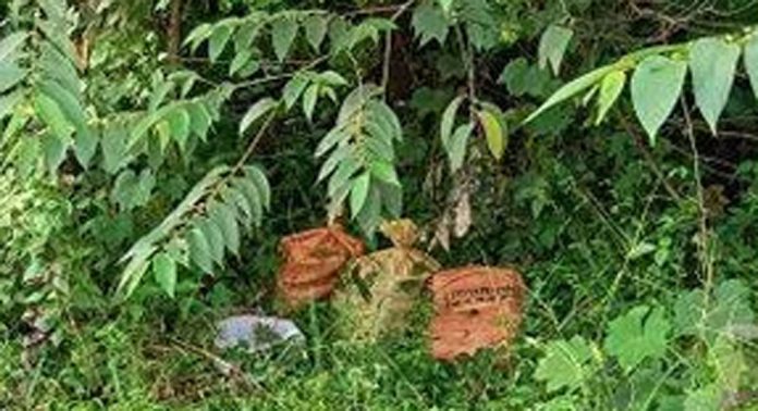 മല്ലപ്പള്ളി-കുന്നന്താനം റോഡില് മാലിന്യം തള്ളുന്നത് പതിവ് മല്ലപ്പള്ളി-കുന്നന്താനം റോഡില് മാലിന്യം തള്ളുന്നത് പതിവ്