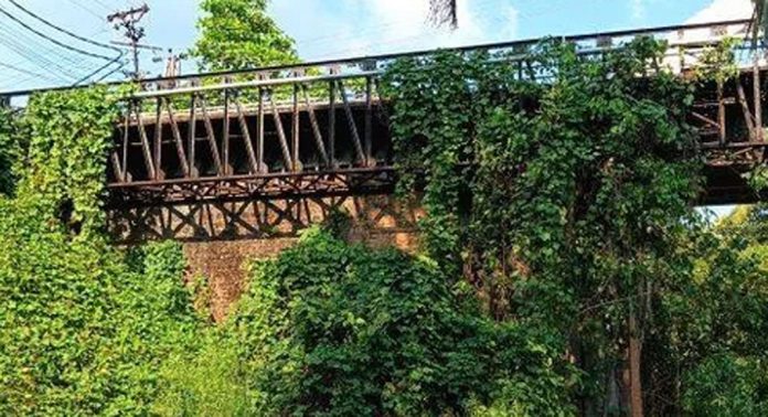 മല്ലപ്പള്ളി വലിയ പാലത്തിന്റെ തൂണിൽ കാട് വളരുന്നു ; ആശങ്കയില് ജനങ്ങള് മല്ലപ്പള്ളി വലിയ പാലത്തിന്റെ തൂണിൽ കാട് വളരുന്നു ; ആശങ്കയില് ജനങ്ങള്
